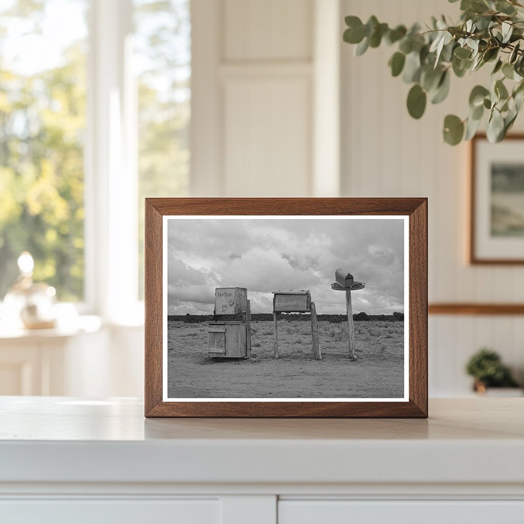 Mailboxes in Catron County New Mexico April 1940