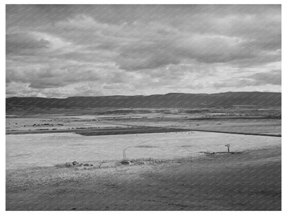 1940 Vintage Photo of Flood Irrigation in Arizona Valley