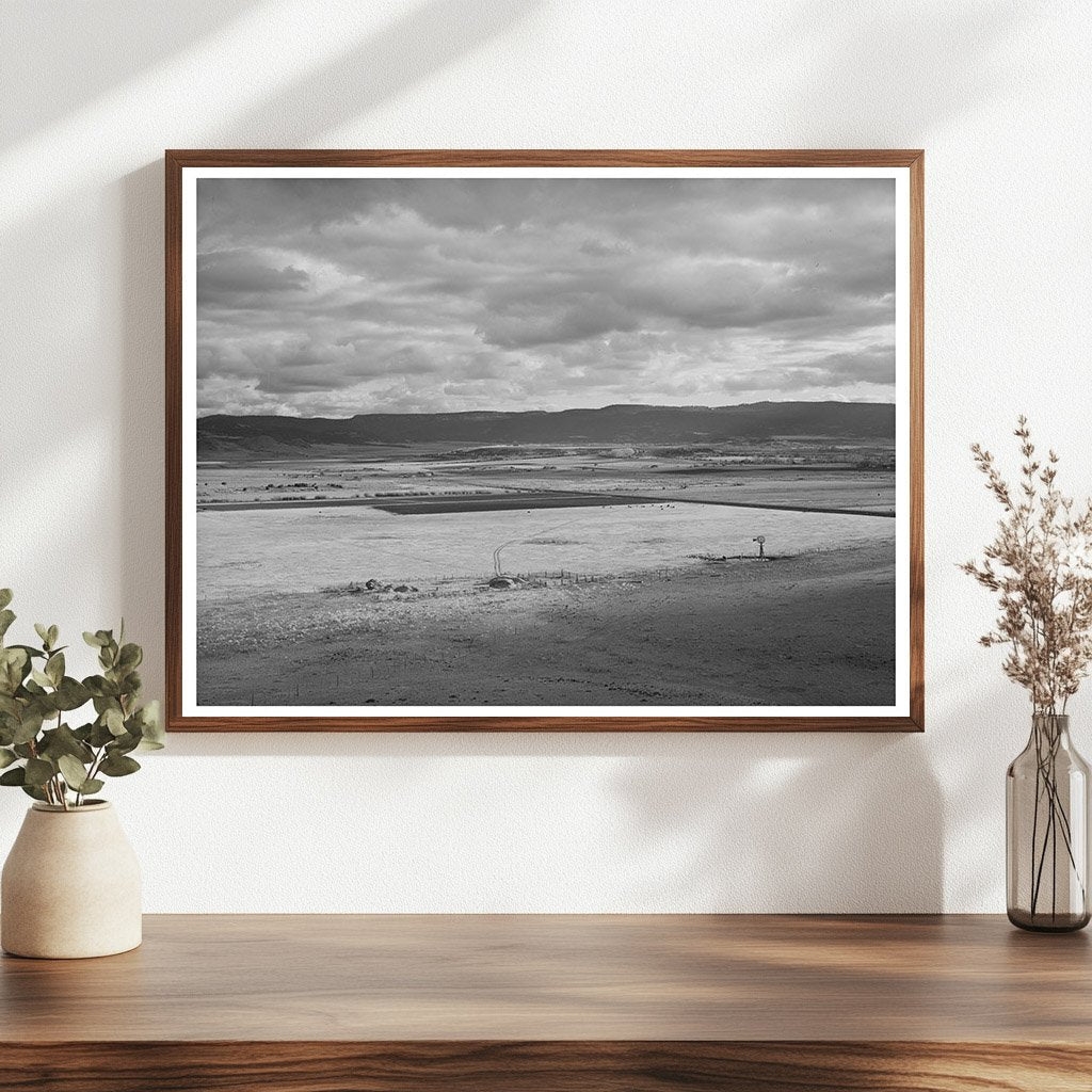 1940 Vintage Photo of Flood Irrigation in Arizona Valley