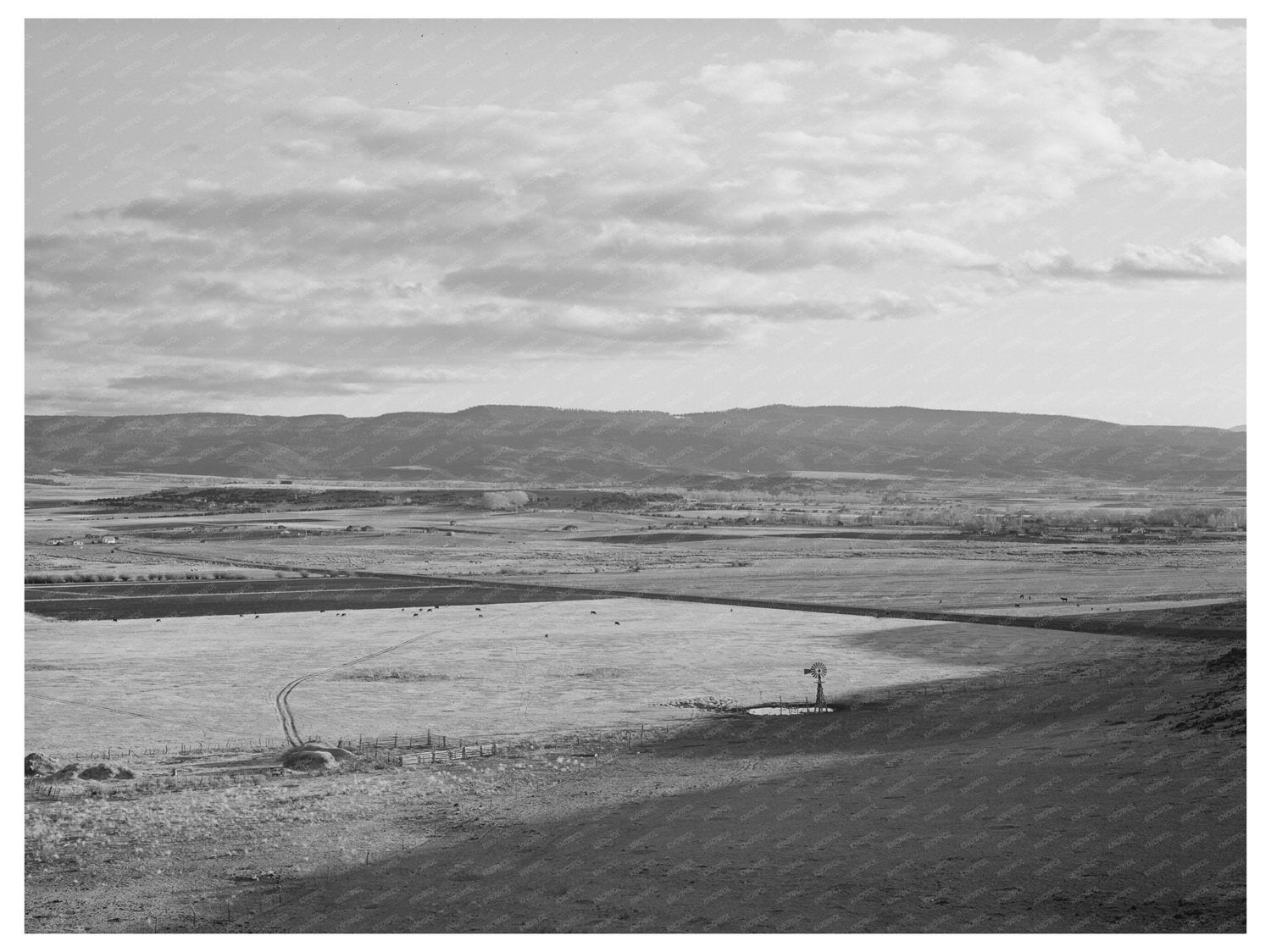 Flood Irrigation in Little Colorado River Valley Arizona 1940