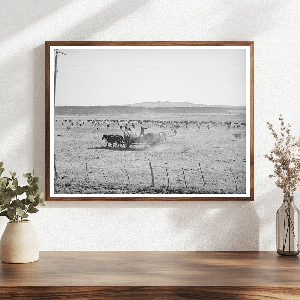 Rancher Feeding Hay April 1940 Little Colorado River Valley