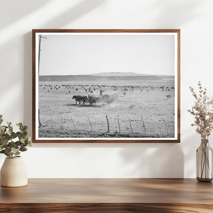 Rancher Feeding Hay April 1940 Little Colorado River Valley