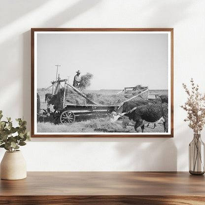 Rancher Feeding Hay in Little Colorado River Valley 1940