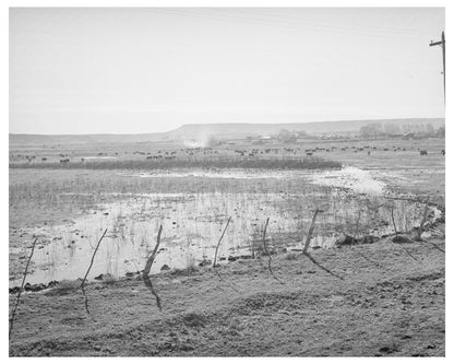 Flood Irrigation in Apache County Arizona April 1940
