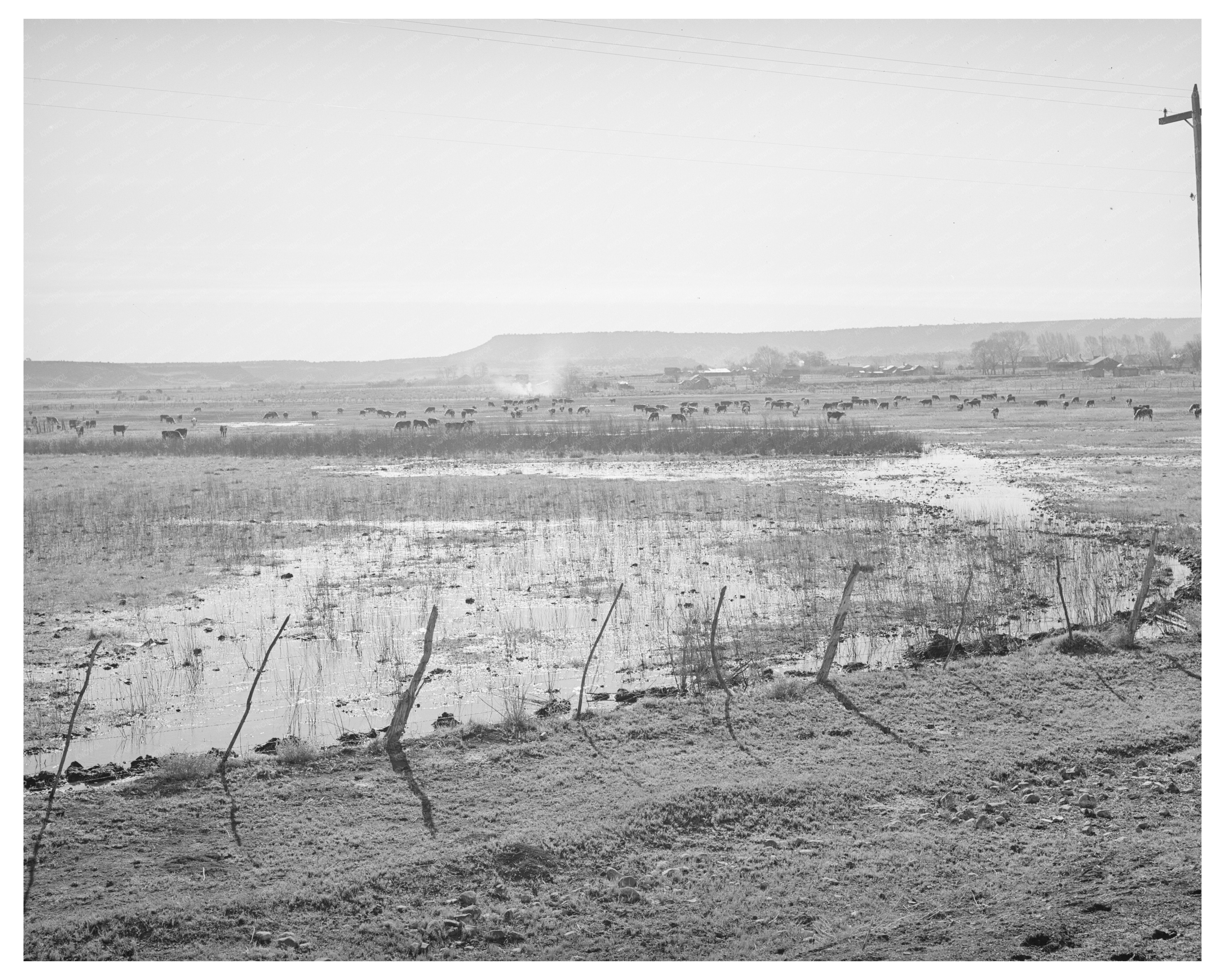 Flood Irrigation in Apache County Arizona April 1940