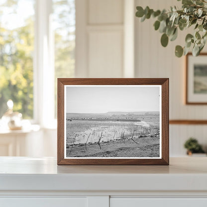 Flood Irrigation on Apache County Hay Fields April 1940
