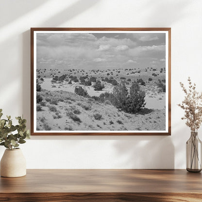 Vintage Dry Wash in Sandoval County New Mexico 1940