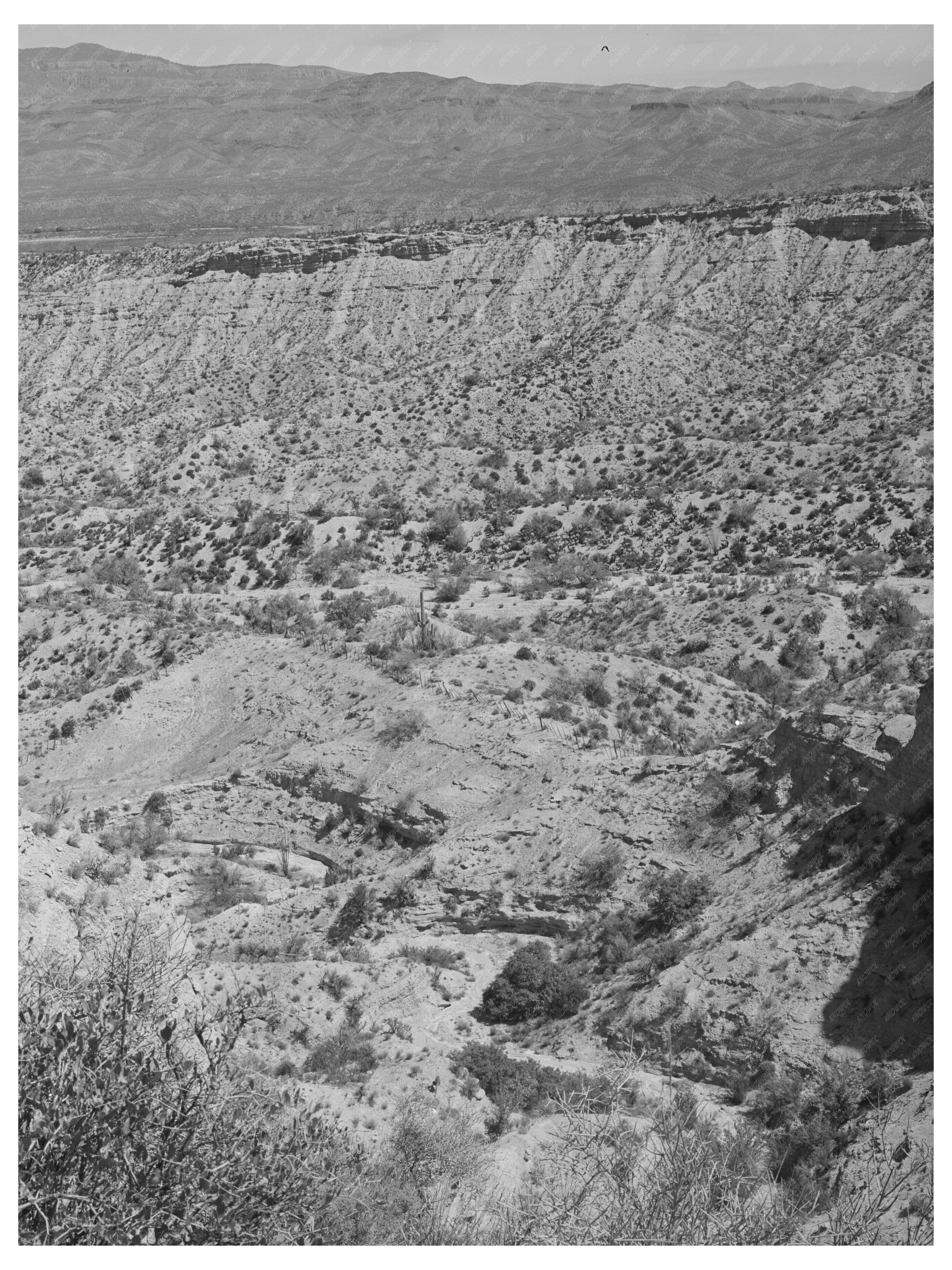 Eroded Canyon on Apache Trail Gila County Arizona 1940