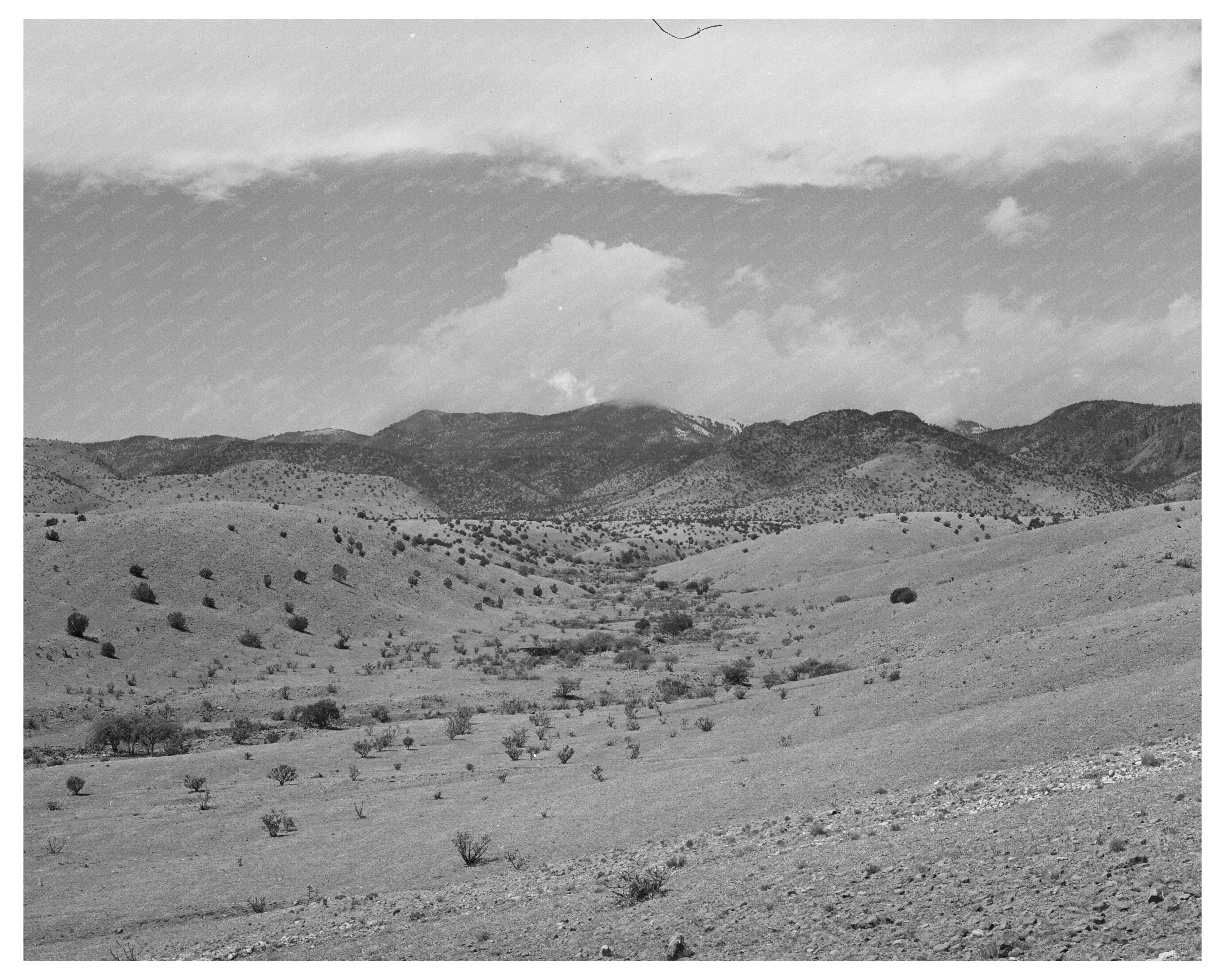 Early Spring Snowstorm in Socorro County New Mexico 1940