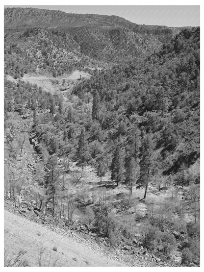 Gorge of Carrizo Creek Navajo County Arizona 1940