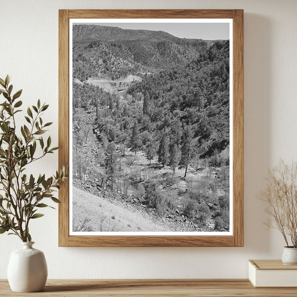 Gorge of Carrizo Creek Navajo County Arizona 1940