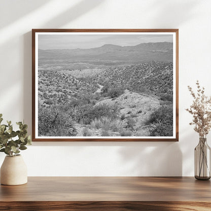 Desert Landscape along Apache Trail Gila County Arizona 1940