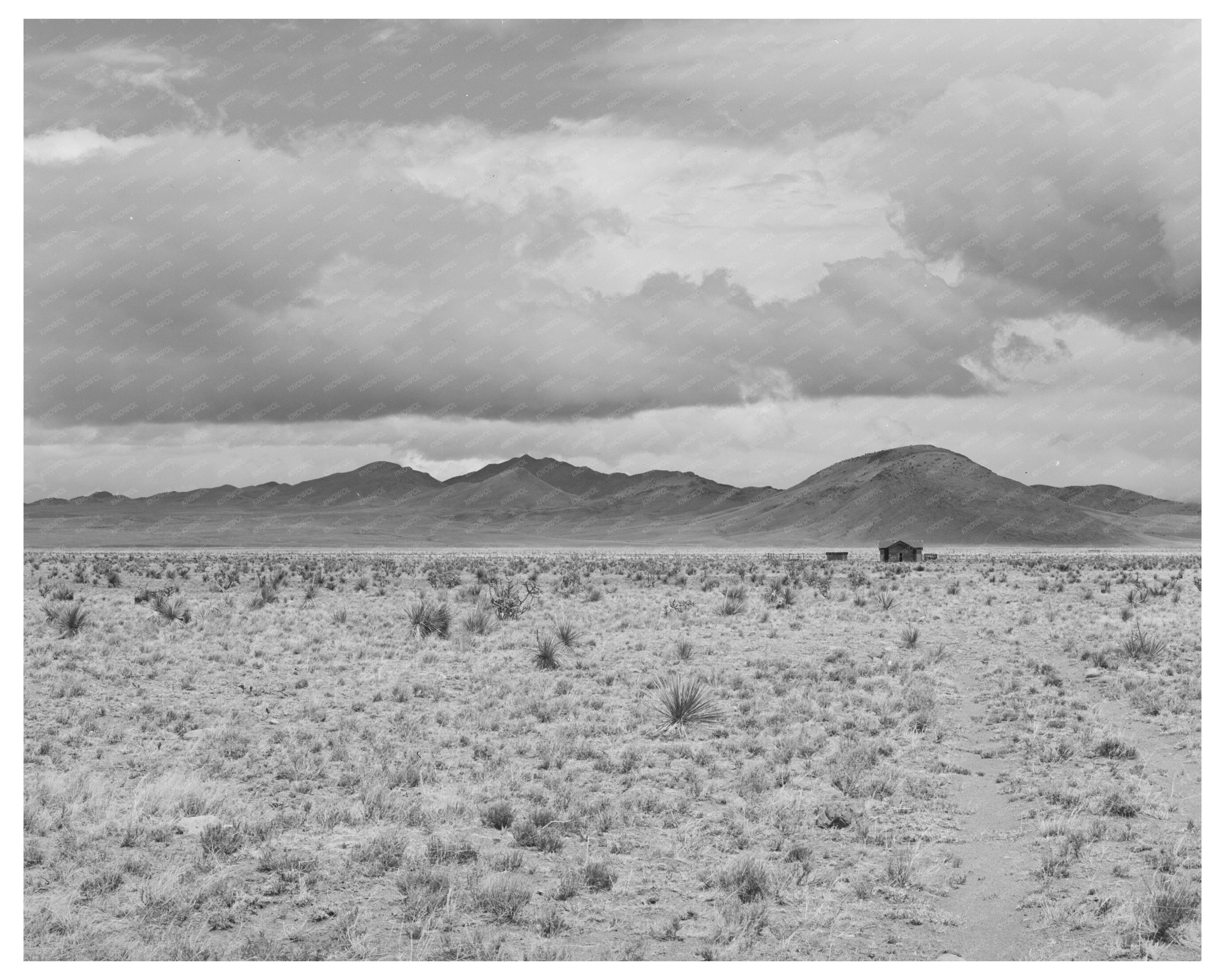 Desert Landscape Socorro County New Mexico 1940