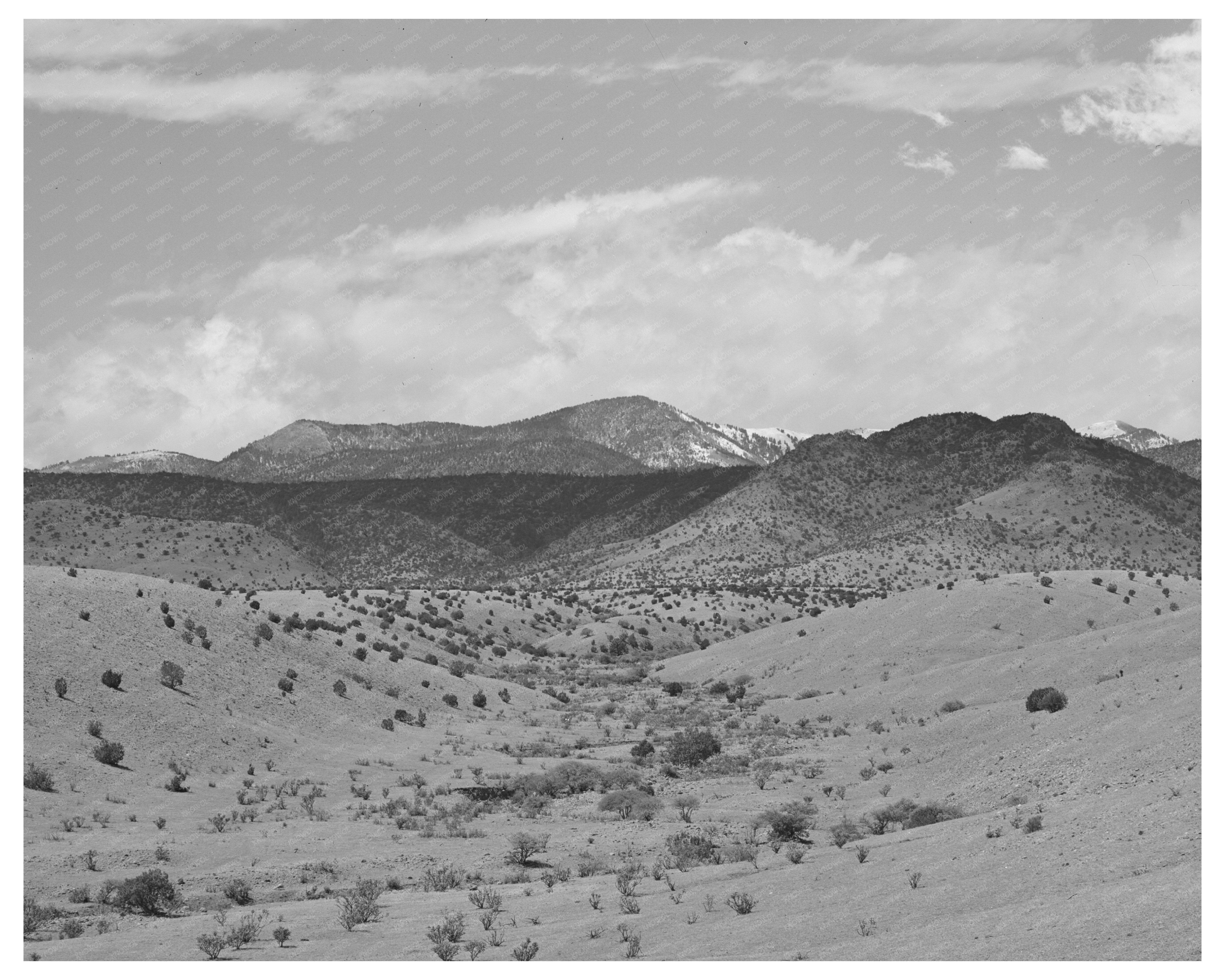 Desert Wash with Snow-Capped Mountains New Mexico 1940