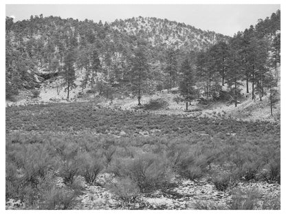 Snow in White House Canyon New Mexico 1940