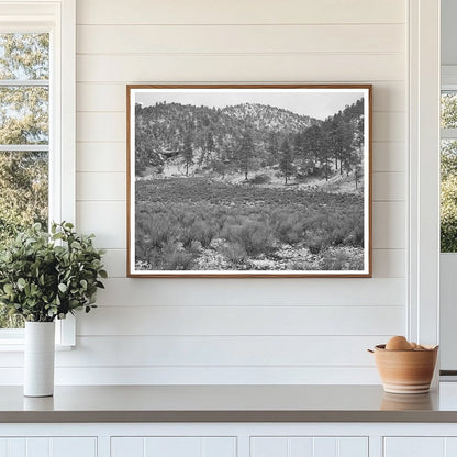 Snow in White House Canyon New Mexico 1940