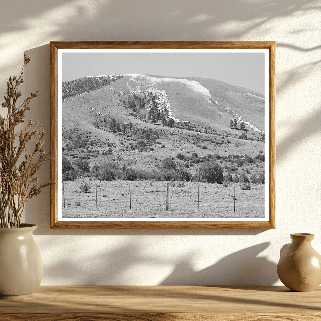 Spring Snow on Mountains Apache County Arizona 1940
