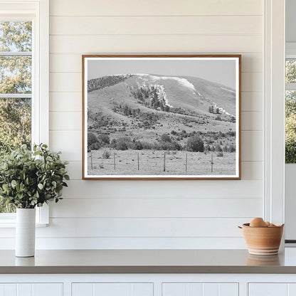 Spring Snow on Apache County Mountains April 1940