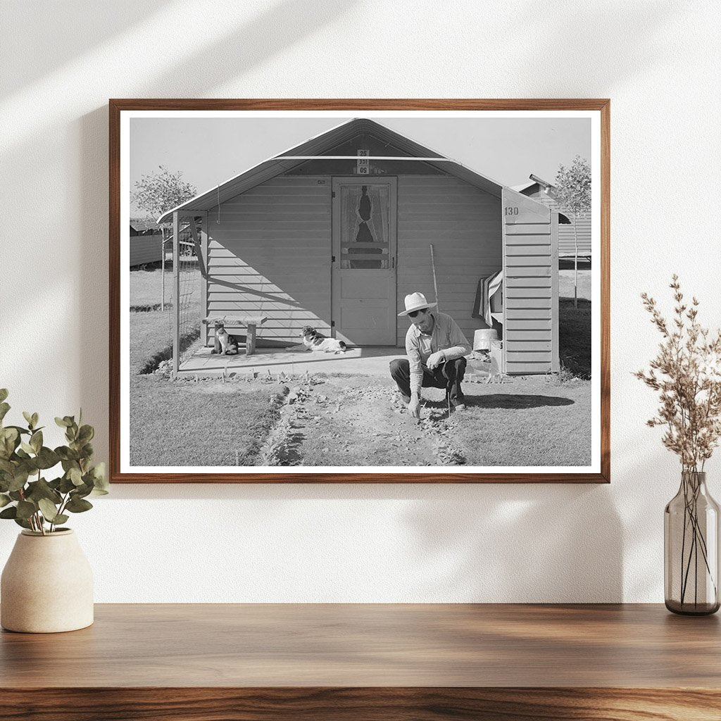 Migrant Worker Planting Flowers in Arizona 1940