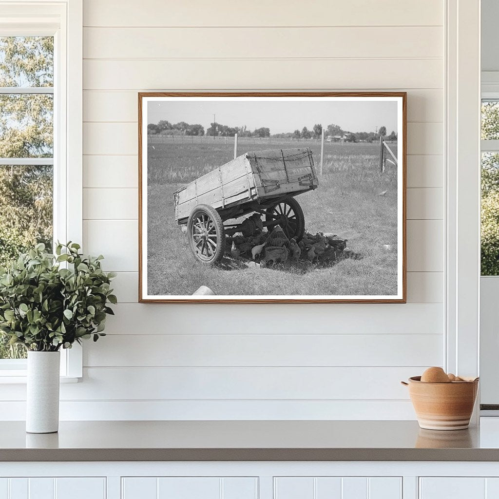 Chickens Under Trailer Maricopa County Arizona 1940