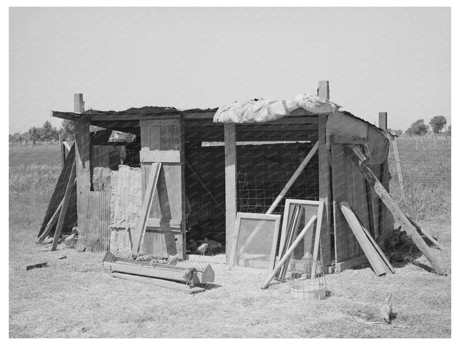 Chicken House in Maricopa County Arizona May 1940