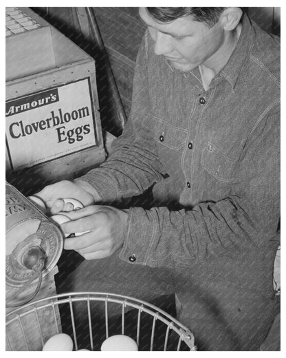 Egg Candling on Arizona Farm May 1940