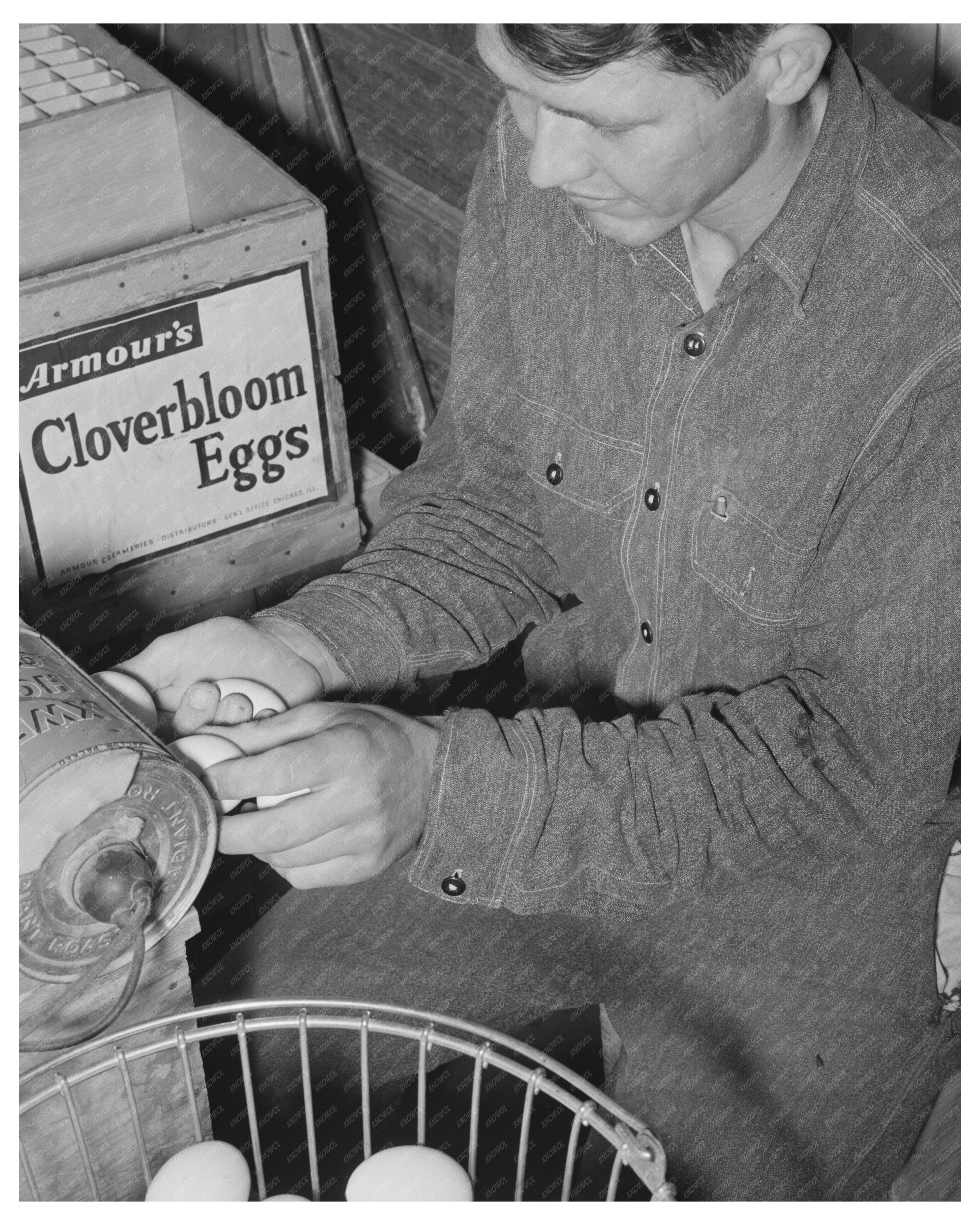 Egg Candling on Arizona Farm May 1940