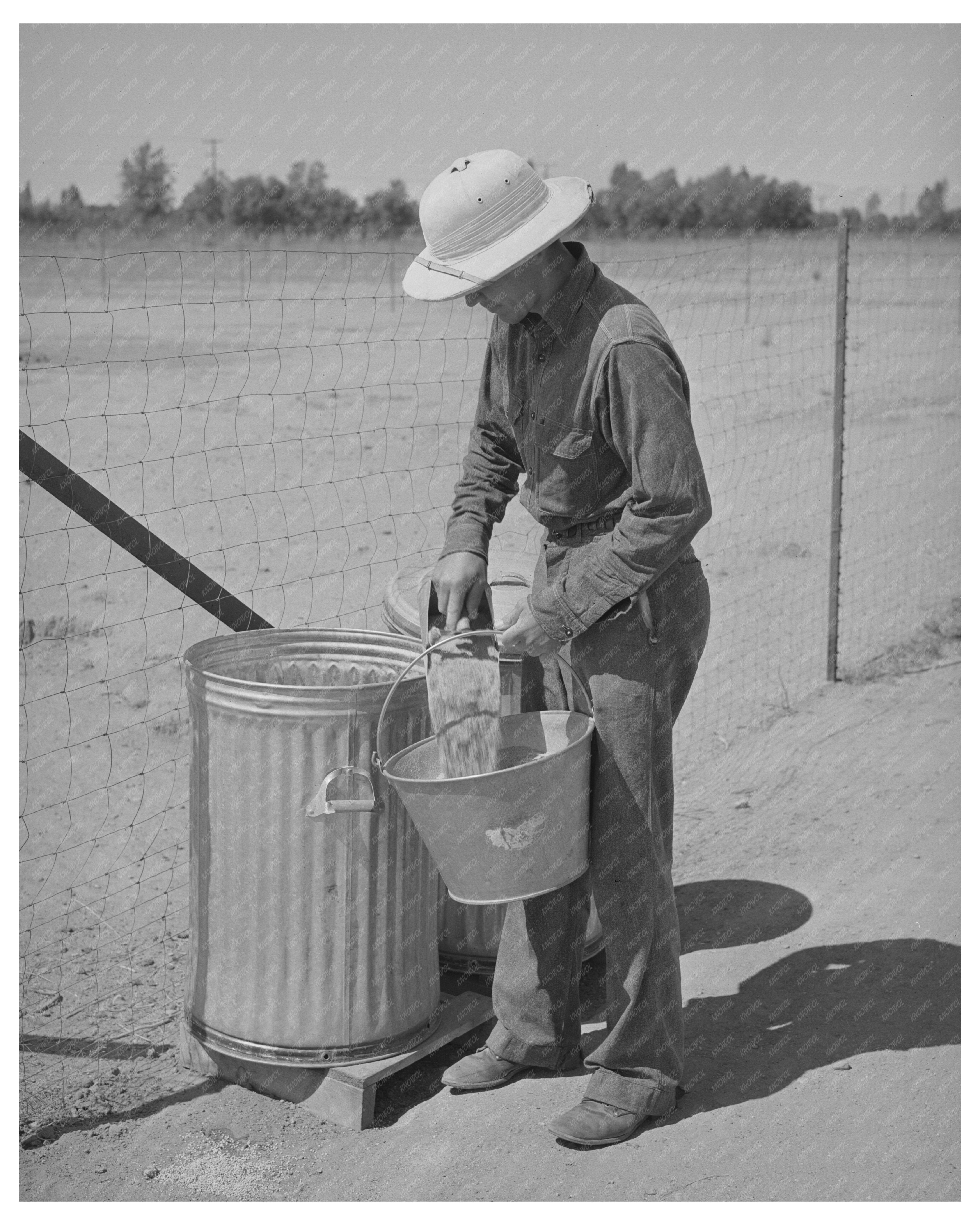 1944 Arizona Farmworker Feeding Chickens in Chandler Unit