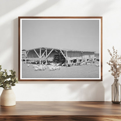 1940 Vintage Chicken Shelter at Maricopa County Farm