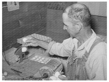 Workers Weighing Eggs for Grading in Maricopa County 1940