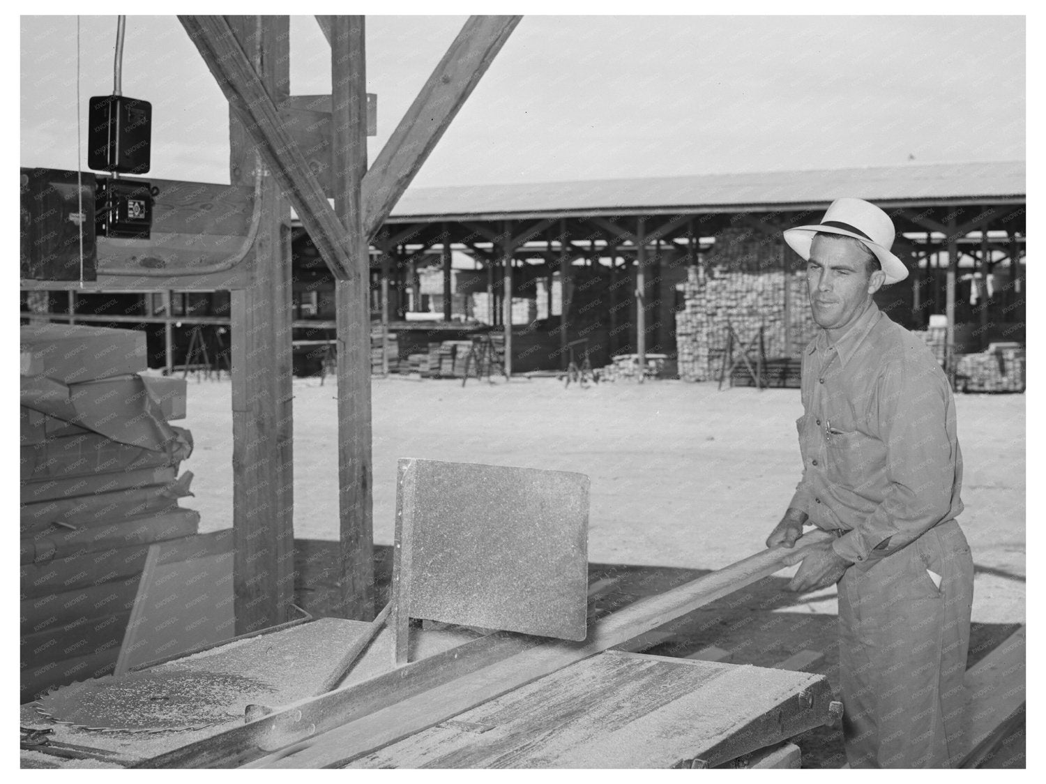 Lumber Processing at United Producers Cooperative 1940