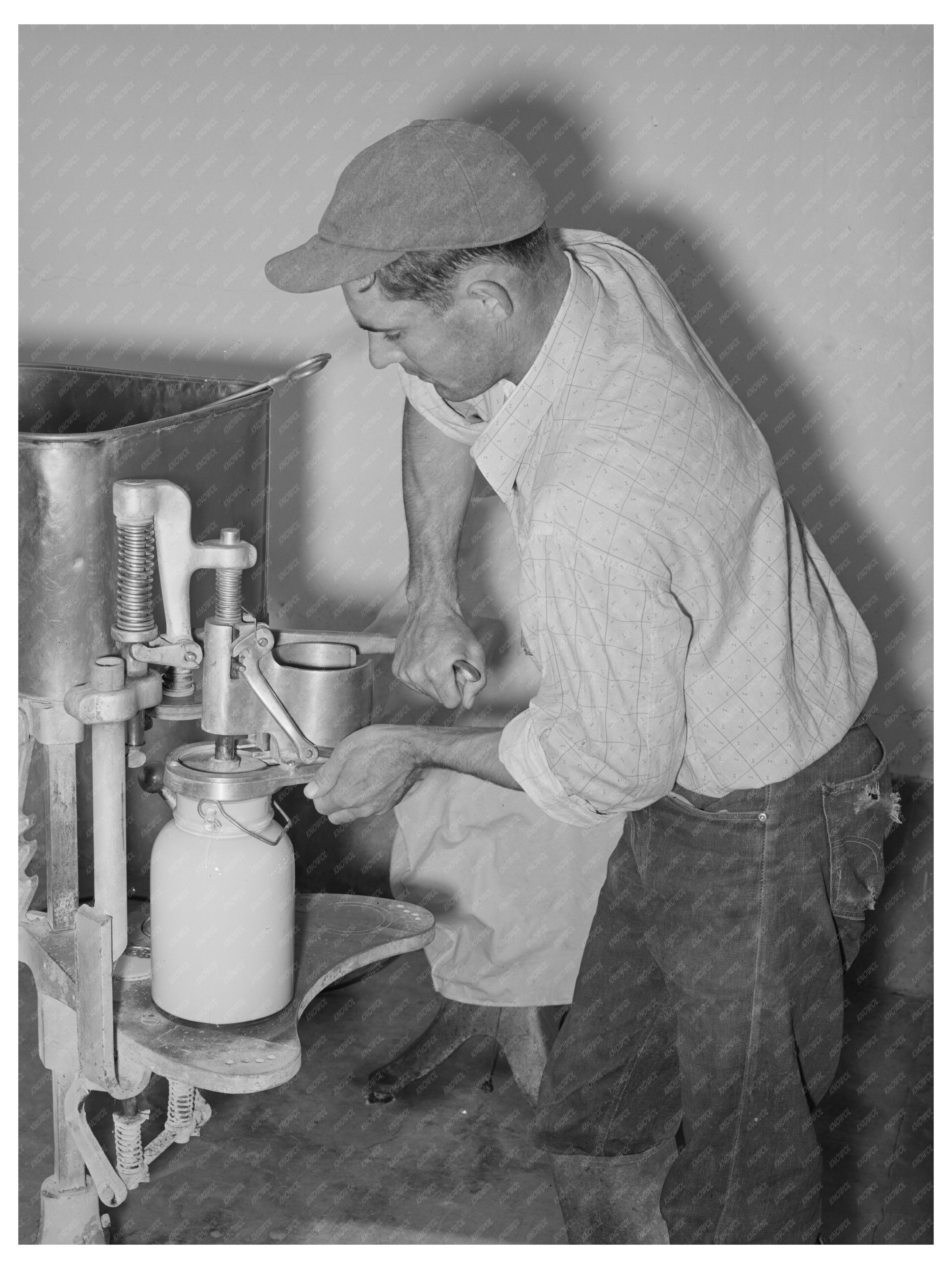 Arizona Dairy Farm Milk Bottling May 1940