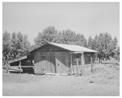 Vintage Barn in Maricopa County Arizona May 1940