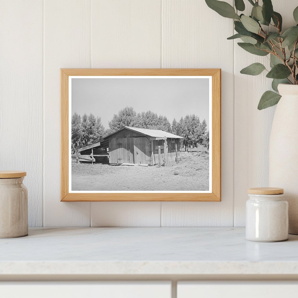 Vintage Barn in Maricopa County Arizona May 1940