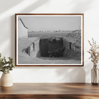 Silage Loading from Trench Silo in Arizona May 1940