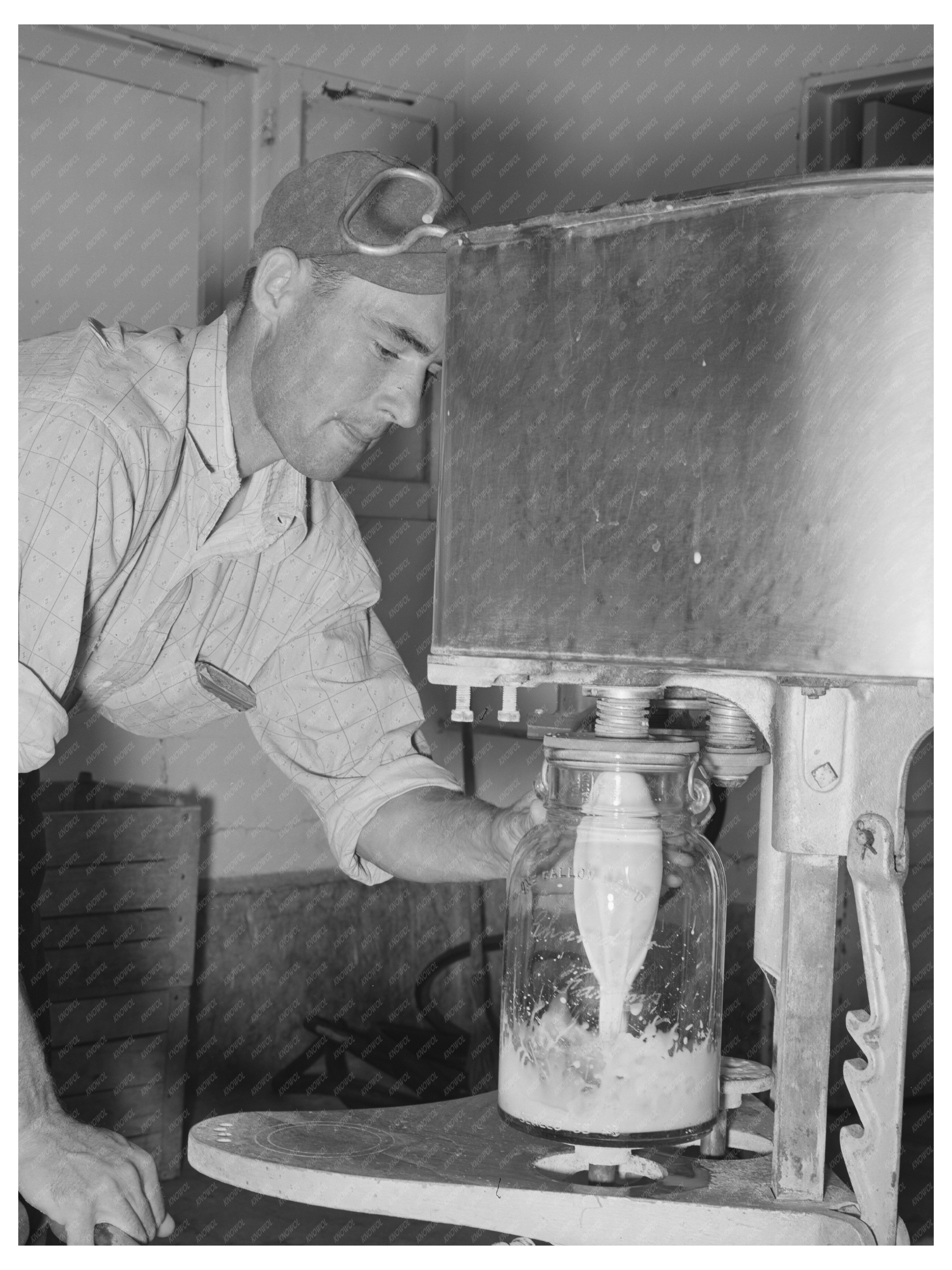 Milk Bottling at Dairy in Maricopa County May 1940