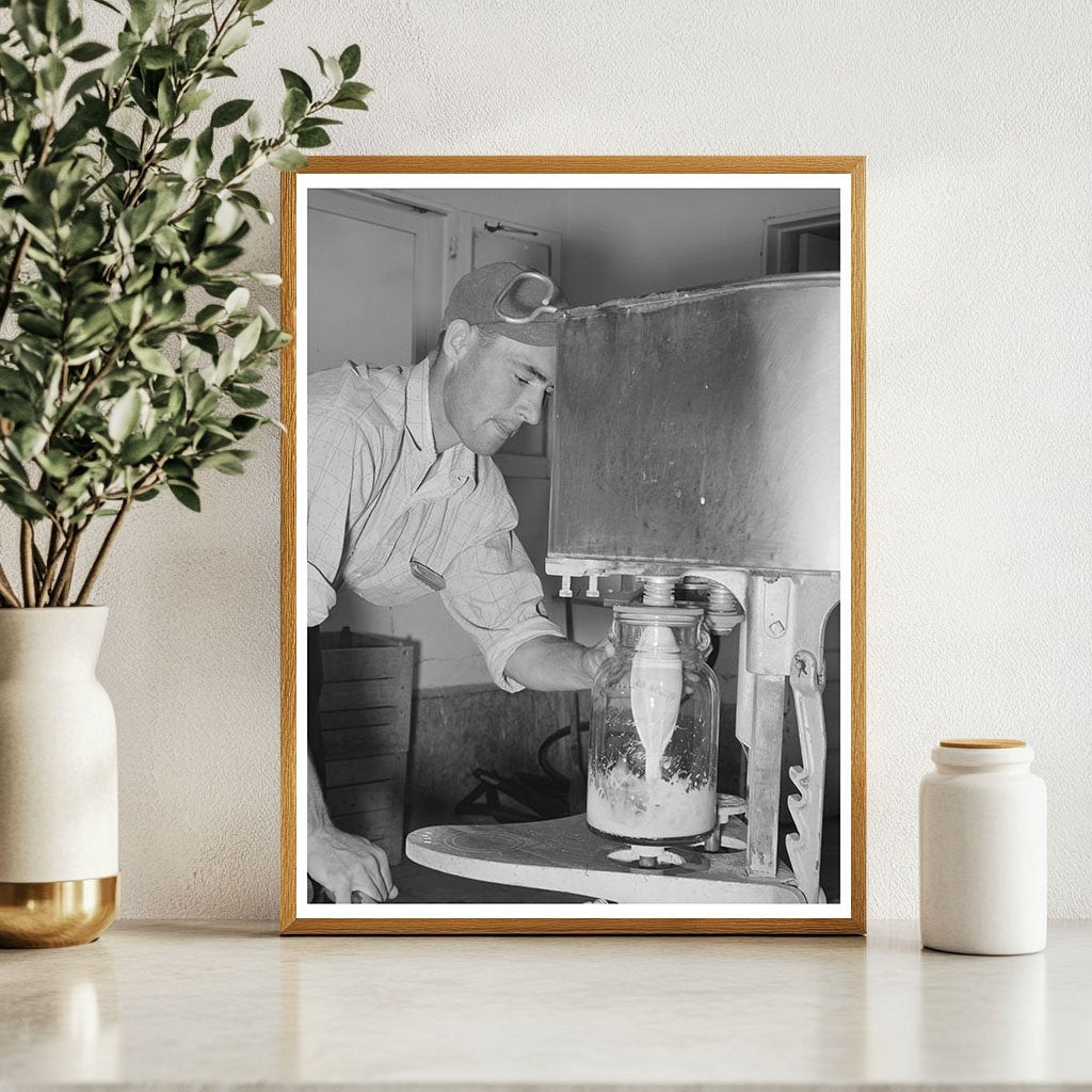 Milk Bottling at Dairy in Maricopa County May 1940