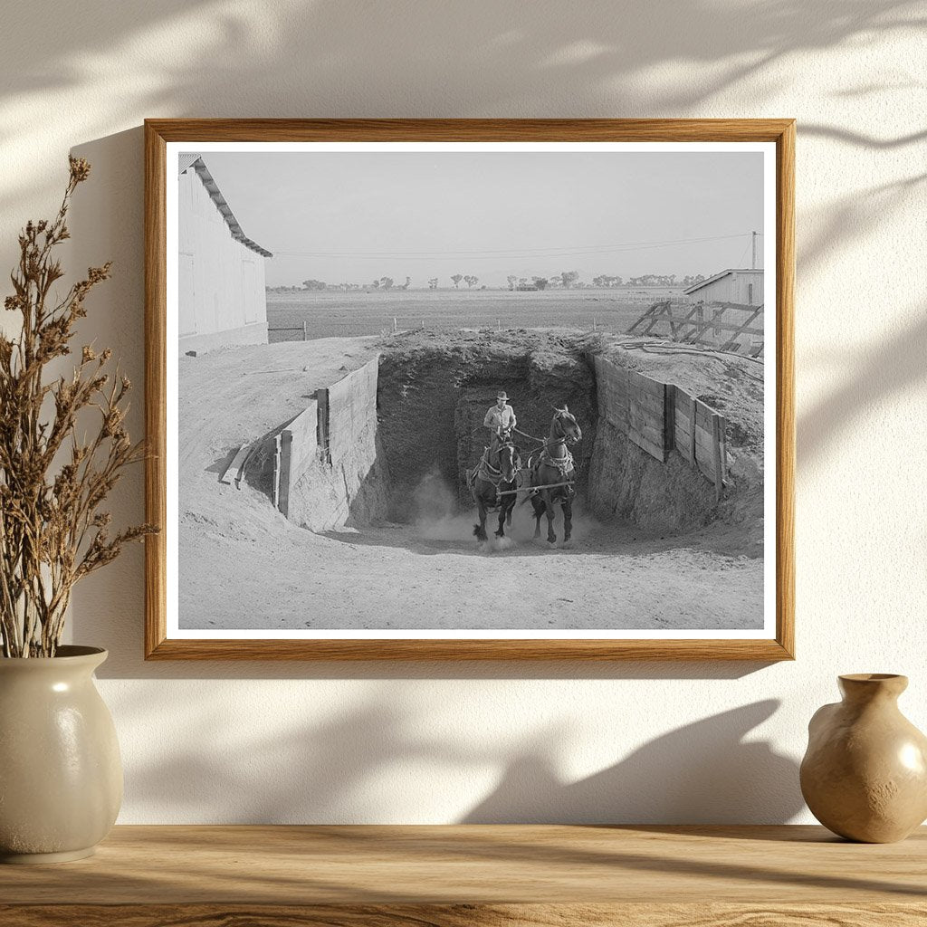 Arizona Farming Silage Transport May 1940