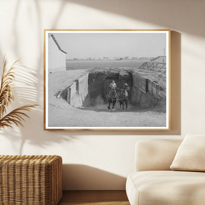 Arizona Farming Silage Transport May 1940