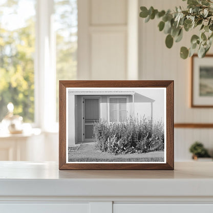 Vintage 1940 Arizona Apartment Flower Bed Photo