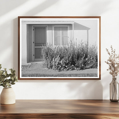 Vintage 1940 Arizona Apartment Flower Bed Photo