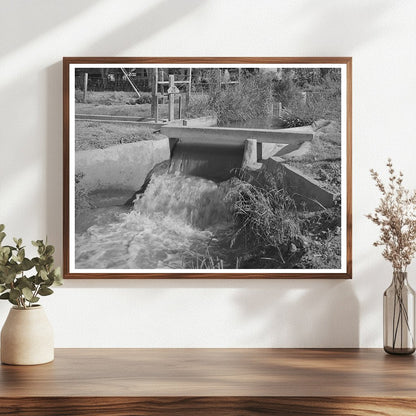 Irrigation Ditch in Maricopa County Arizona May 1940