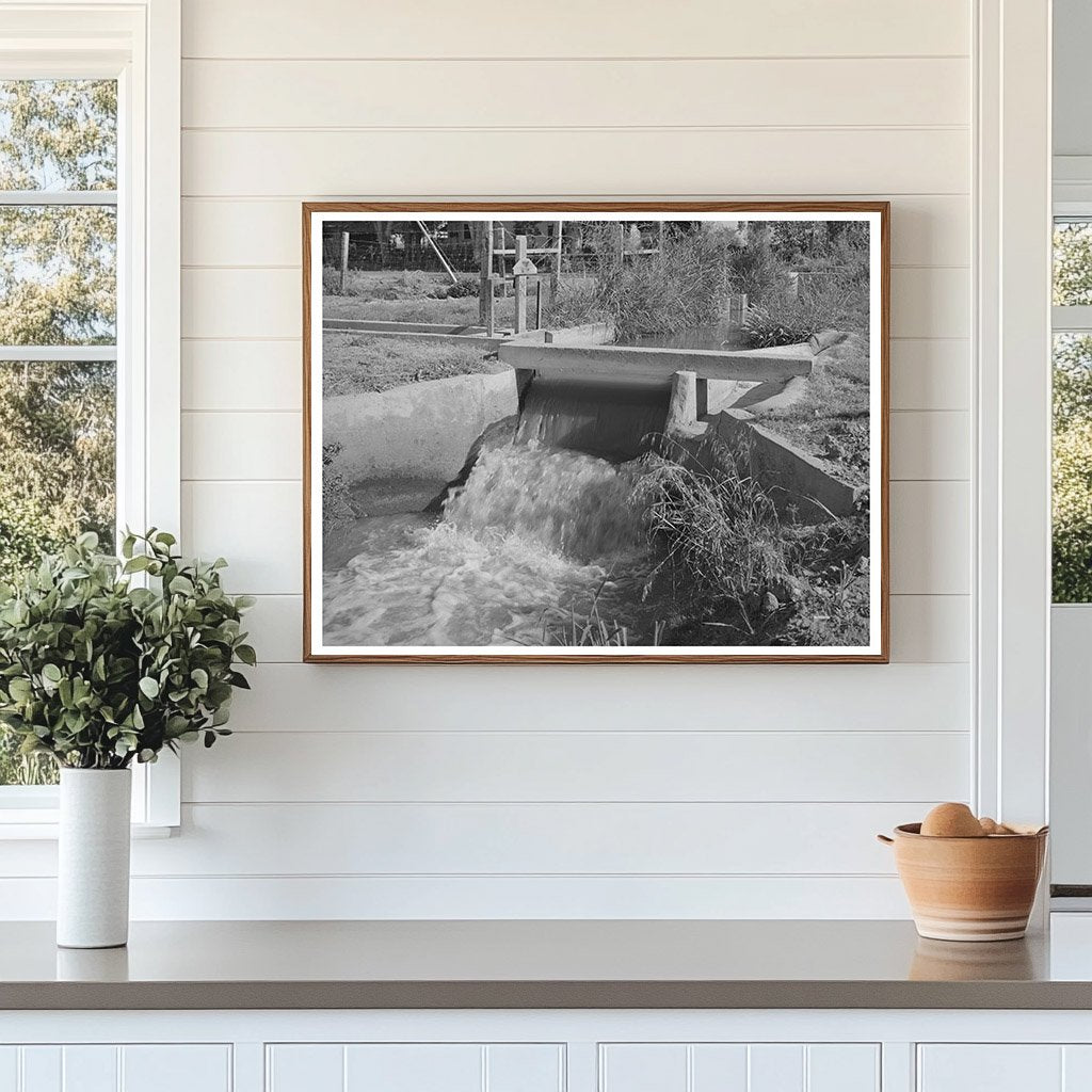 Irrigation Ditch in Maricopa County Arizona May 1940