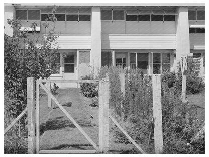 Backyard of Chandler Apartment Arizona May 1940