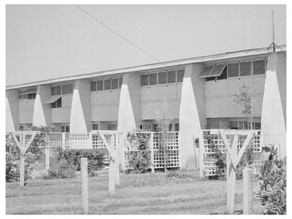 1940 Vintage Image of Chandler Unit Backyards Maricopa County