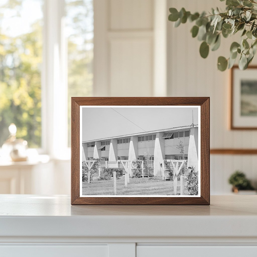 1940 Vintage Image of Chandler Unit Backyards Maricopa County