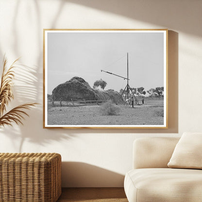 Hay Harvesting in Maricopa County Arizona May 1940