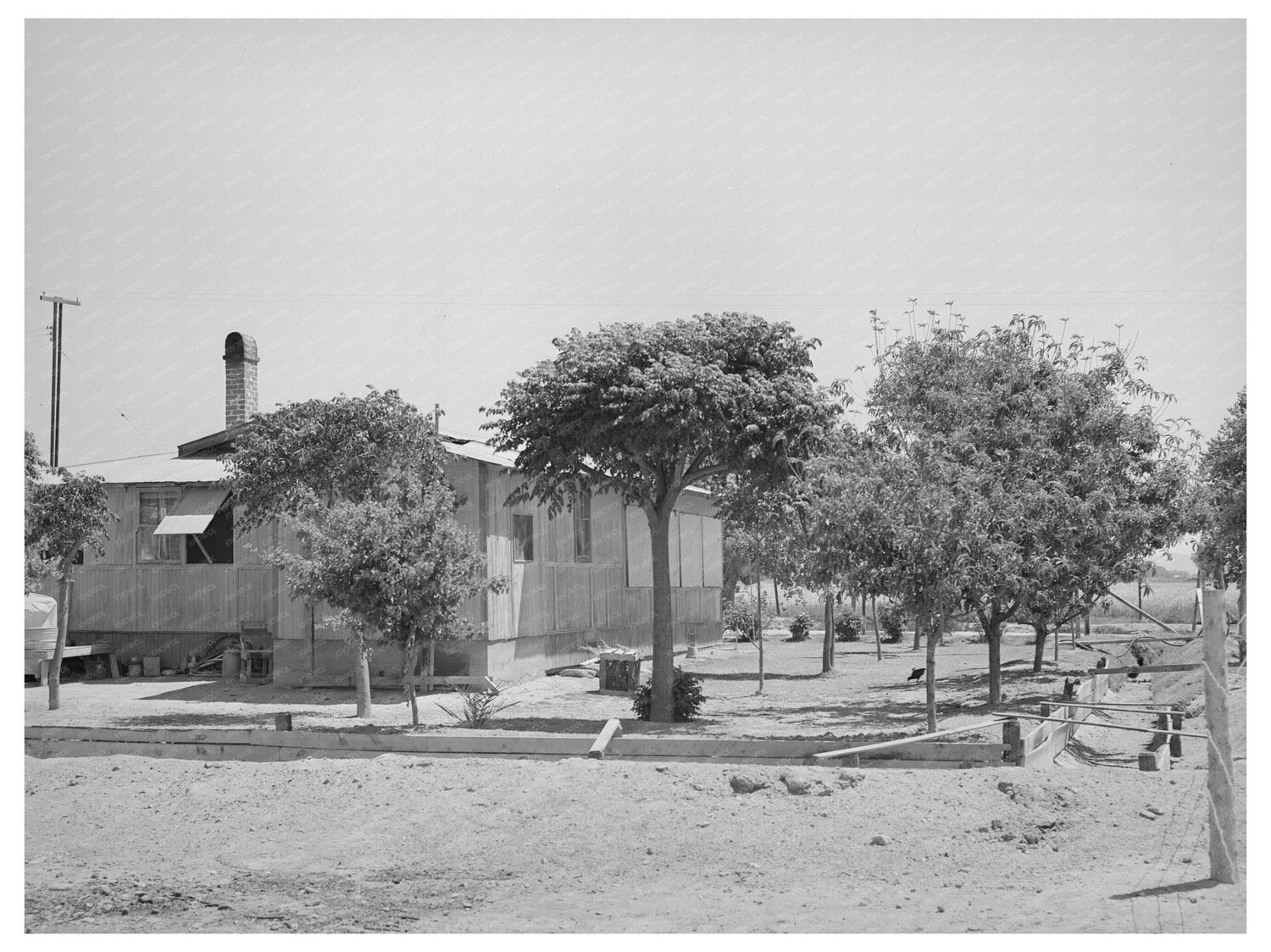 Maricopa County Arizona Tenant Purchase Yard May 1940