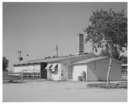 Dairy Barn and Equipment at Casa Grande Valley Farms 1940