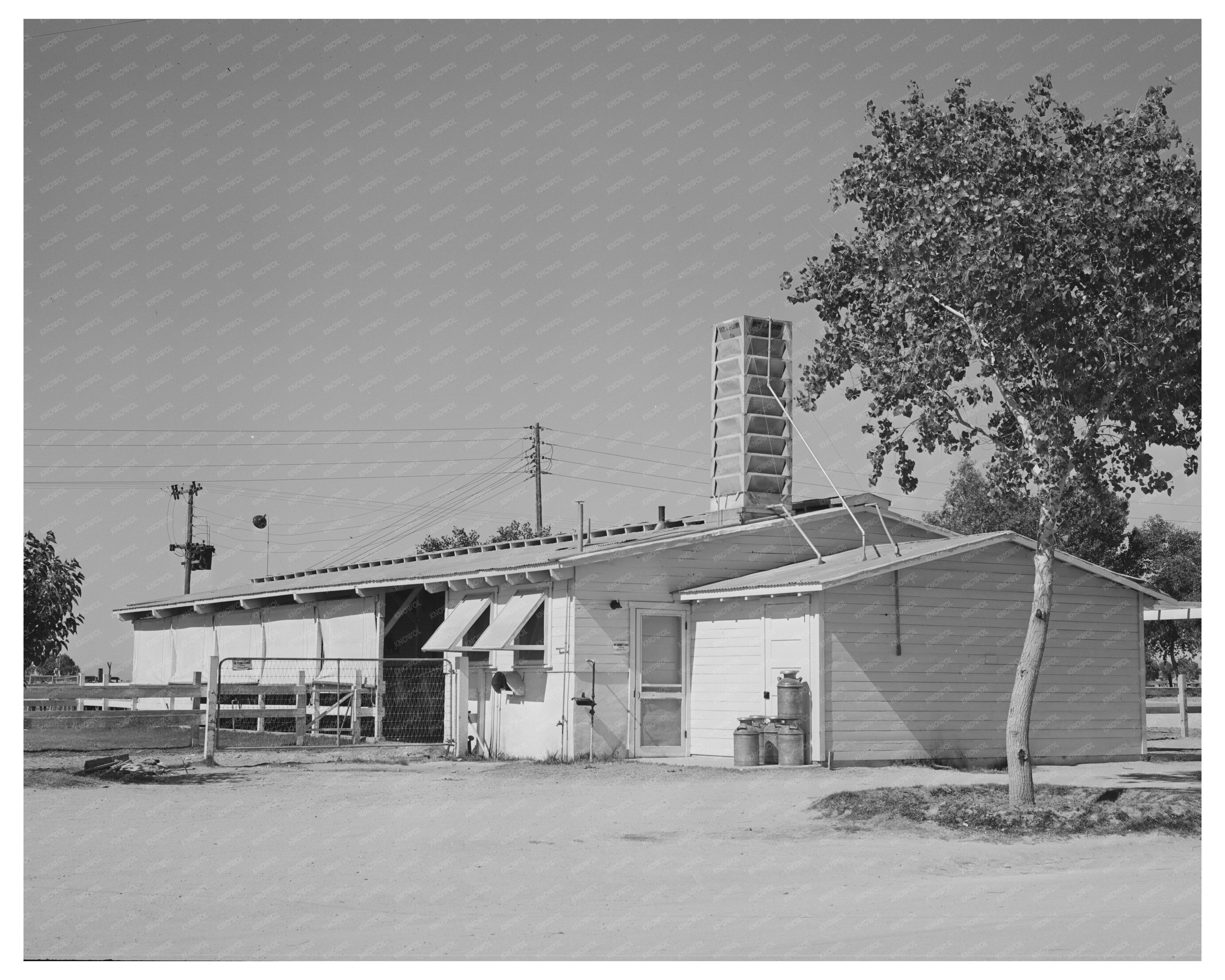 Dairy Barn and Equipment at Casa Grande Valley Farms 1940